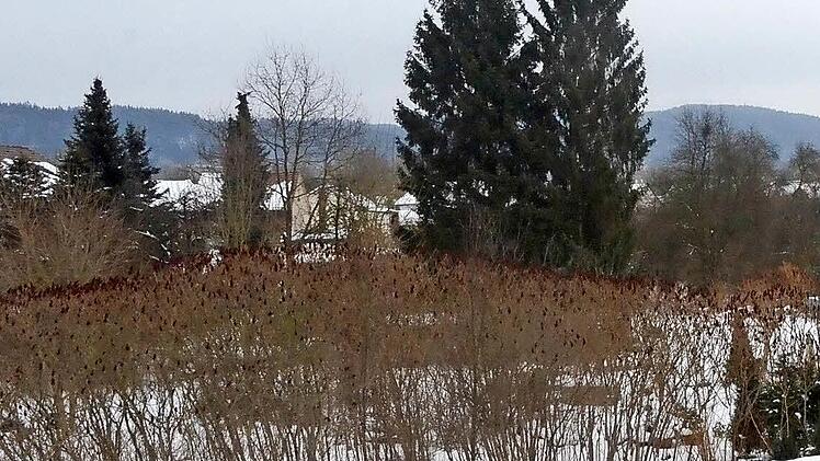 Das Bild zeigt: Links ist ein Teil des Bebauungsgebietes "Nördlich der Eichendorffsiedlung" zu sehen, rechts zwischen dem blauen und orangefarbenen Haus wird die Zu- und Abfahrt zur B 85 entstehen. Foto: K.- H. Hofmann