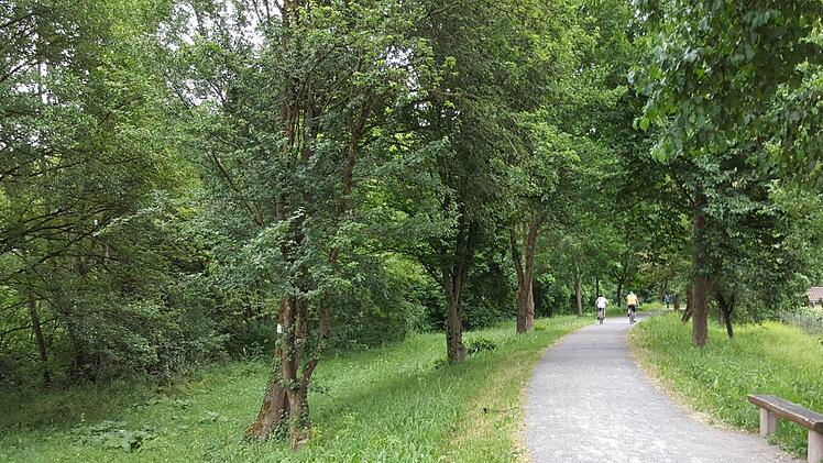 Der Spaziergang auf dem sogenannten Dammweg ist im Sommer dank zahlreicher Schatten spendender Bäume sehr angenehm. Doch diese sollen bis spätestens 2019 verschwunden sein. Foto: Heike Beudert
