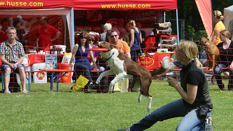 Die schweizer Hundetrainerin Alexandra Taetz beim Hunde-Frisbee mit Ayvar.