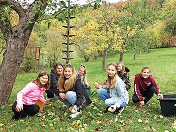 Einige Sch&uuml;lerinnen der Redwitzer Mittelschule beim Zusammenlesen des Obstes auf der Streuobstwiese in Kloster Banz  Fotos: Daniel Wagner