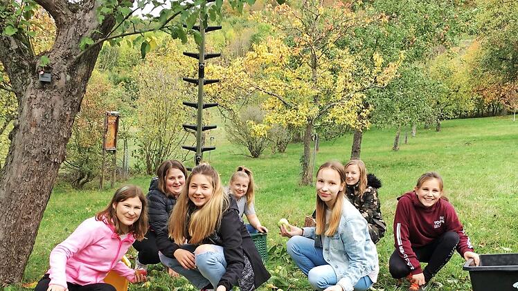 Einige Sch&uuml;lerinnen der Redwitzer Mittelschule beim Zusammenlesen des Obstes auf der Streuobstwiese in Kloster Banz  Fotos: Daniel Wagner