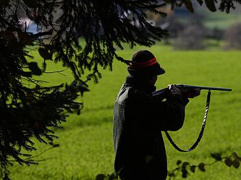 Wird mit Schrot geschossen, ist nie auszuschließen, dass beim Verzehr des erlegten Wildes ein Schrotkorn im Mund des Essers landet. Foto: Archiv