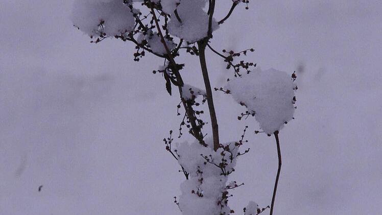 Winterimpressionen Foto: Marco Meißner