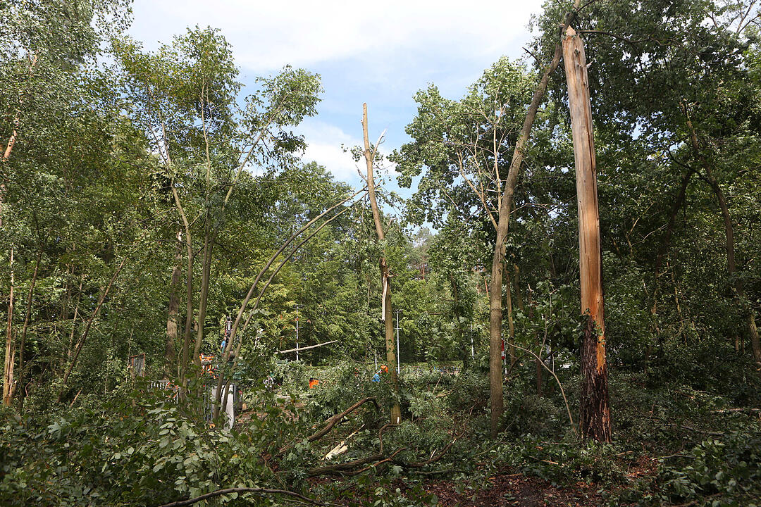 Aufraeumarbeiten in Bamberg nach schwerem Unwetter