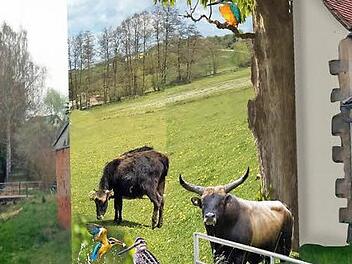 Originell: So könnte das künstlerisch gestaltete Trafohäuschen in Walsdorf bald aussehen.  Fotomontage: dg/p