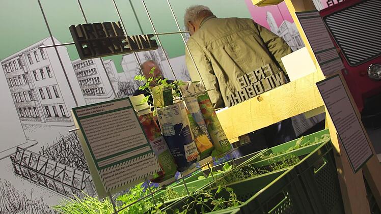 "Urban Gardening" ist in Bamberg nichts Neues. Foto: Sebastian Martin