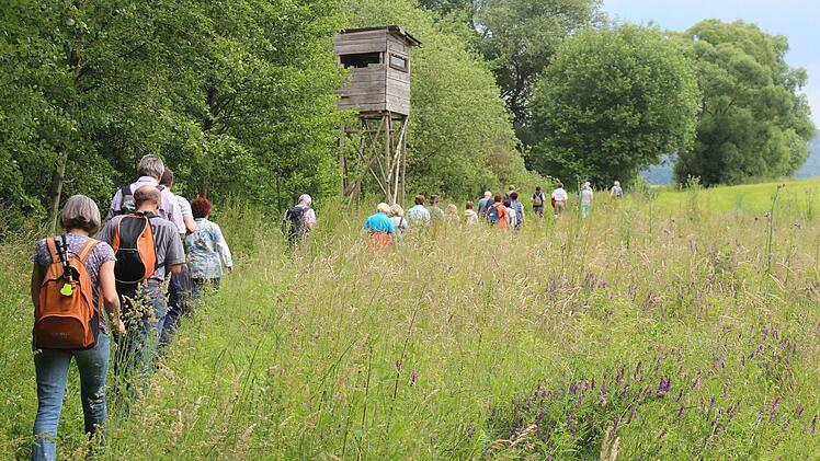 Leserwanderung im Hauptsmoorwald. Foto: Michael Memmel