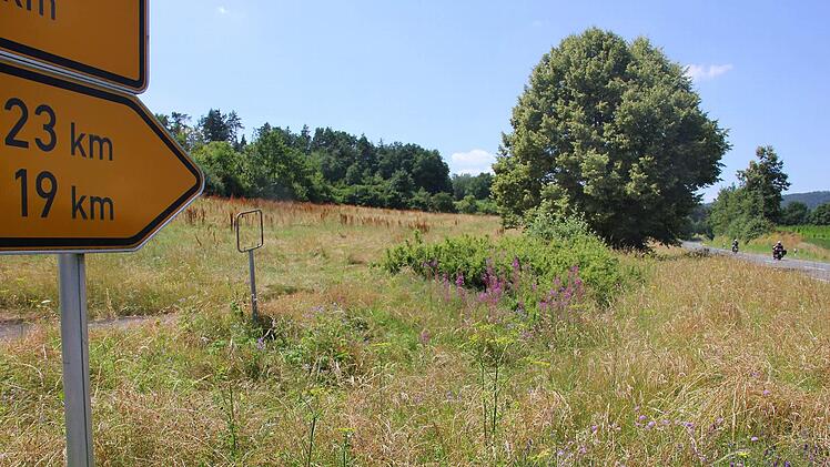Diese Wiese an der Staatsstraße Ebern-Haßfurt bleibt Wiese und darf nicht aufgeforstet werden. Foto: Ralf Kestel