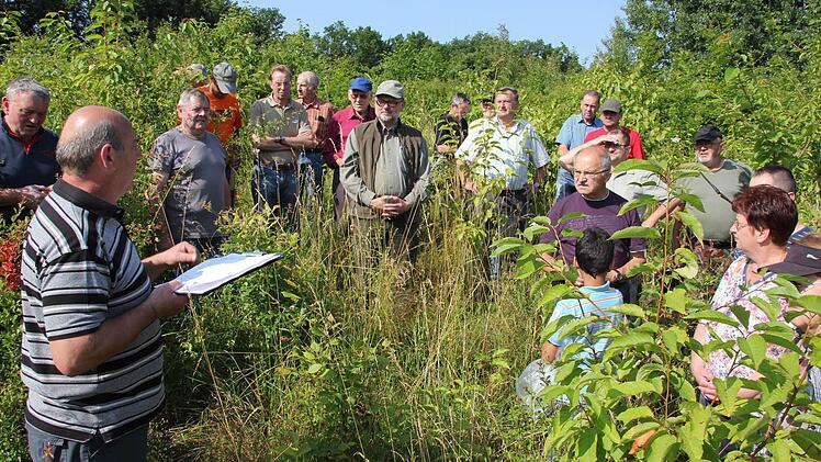 Viel Gras, etliche Besucher und neue Bäume.