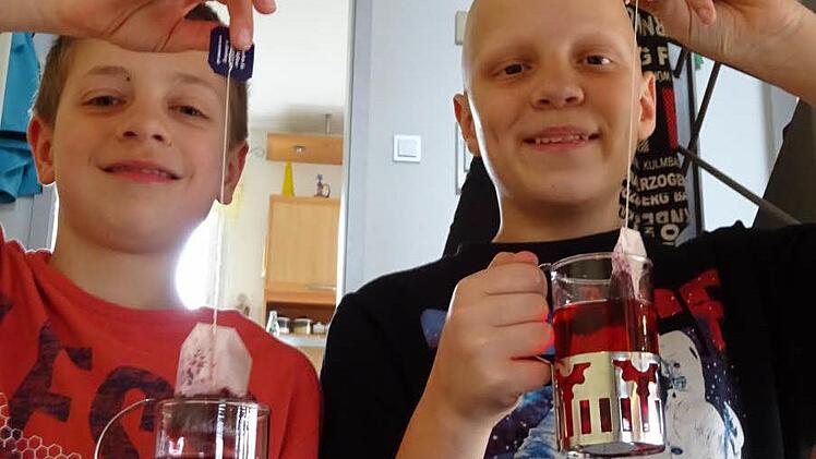 Philipp und Anton genießen erst ein Tässchen Tee, bevor sie sich daran machen, daraus Geheimtinte herzustellen. Foto: Doris Bauer