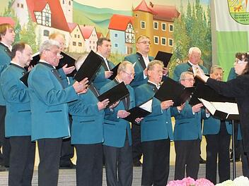 Der Männerchor des Gesangsvereins Sängerlust 1921 Steinach beim Auftritt mit Leiterin Andrea Metzler (rechts) Fotos: Björn Hein