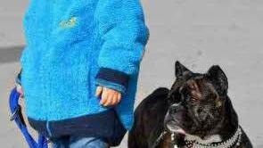 Hund und Kind - kein Problem.Foto: privat