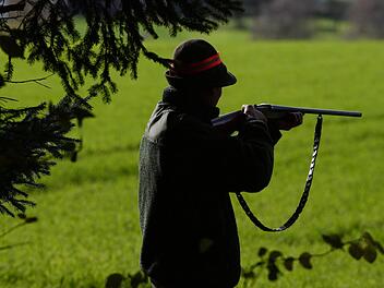Ein Jäger wie auf diesem Symbolfoto schoss einen Jagdkollegen an.  Foto: Felix Kästle/dpa