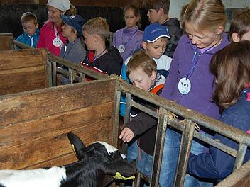 Wie Kühe gehalten werden, erfuhren die Mädchen und Jungen auf einen Bauernhof in Oberthulba.  Foto: Straub