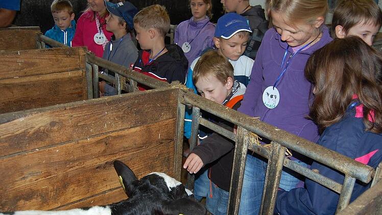 Wie Kühe gehalten werden, erfuhren die Mädchen und Jungen auf einen Bauernhof in Oberthulba.  Foto: Straub