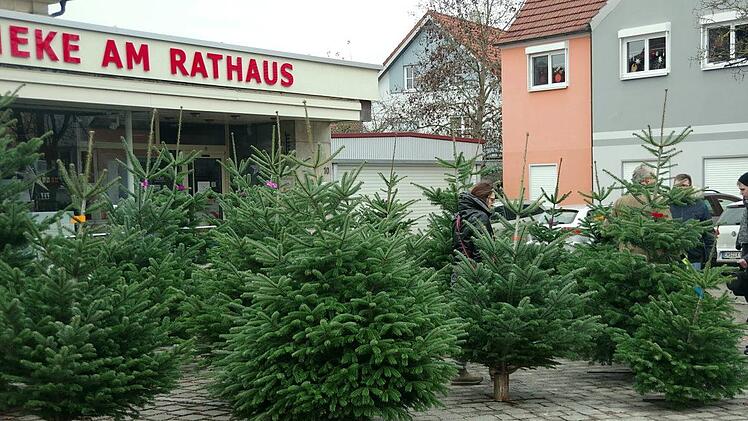 Foto: Heike Schülein