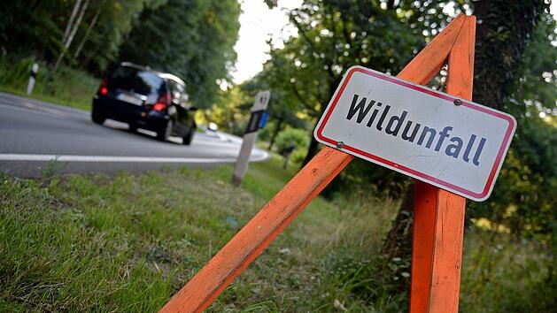 Wildunfall ja oder nein, das war jetzt  die Frage vor Gericht in Bad Kissingen. Ihr Vertrauen in einen Versicherungsmakler kam jetzt zwei Unfallbeteiligte teuer zu stehen. Einmal mehr wird deutlich: Bei Wildunfall immer die Polizei rufen.Susann Prautsch/dpa