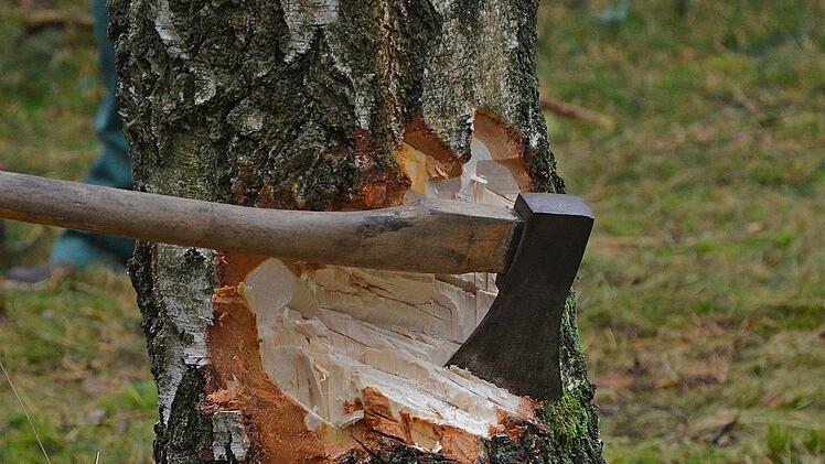 Bad Kissingen: Kreisstraße 8 bleibt gesperrt - wegen Verkehrssicherungsmaßnahmen im Forstwald