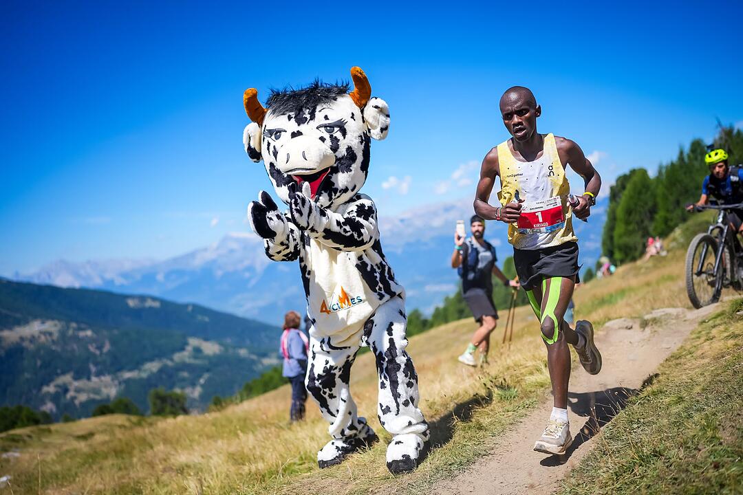 53. Sierre-Zinal-Langstrecken-Berglauf