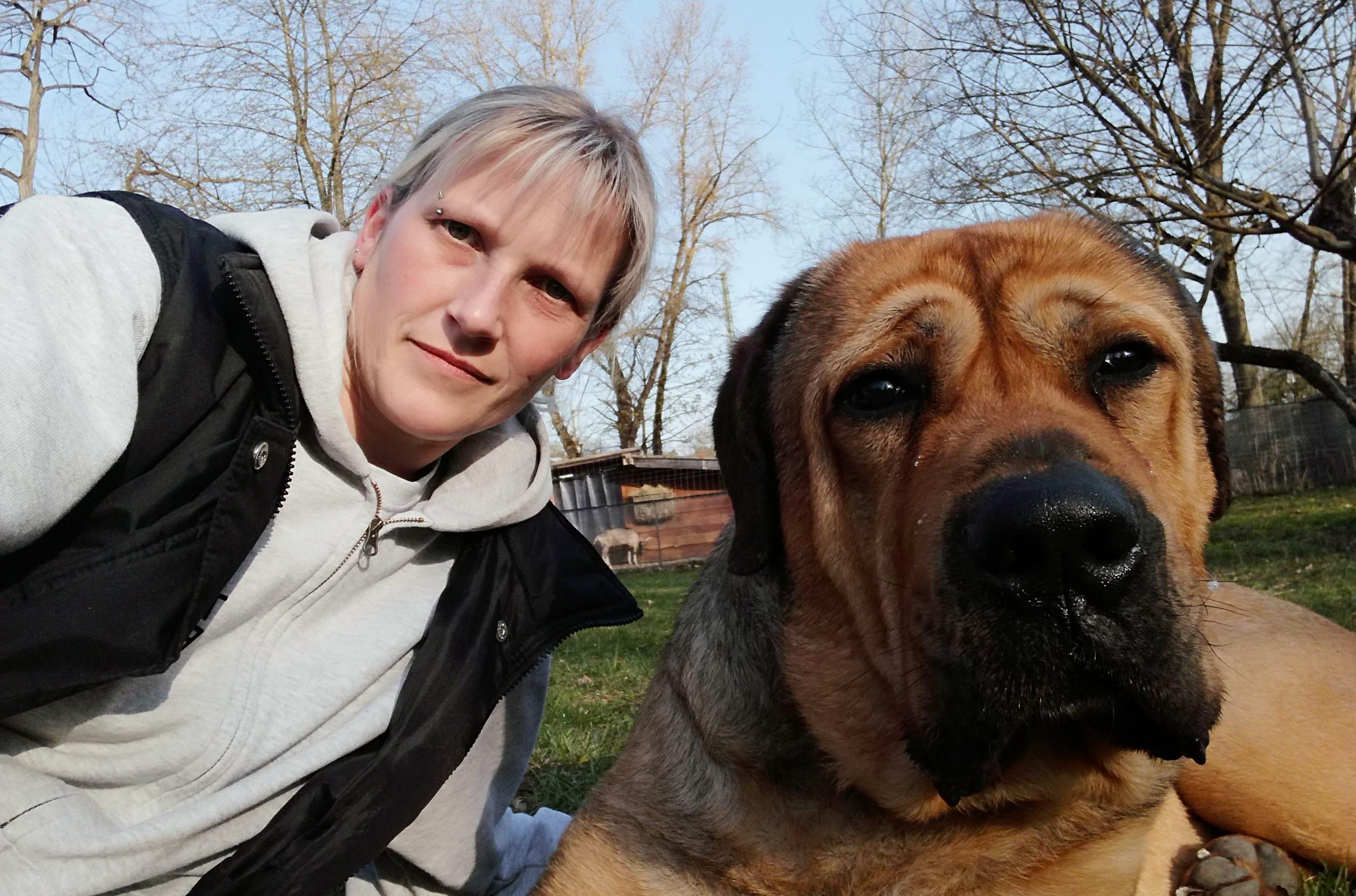 Tierheime In Forchheim Und Erlangen Wie Tiere Corona Zeiten Erleben
