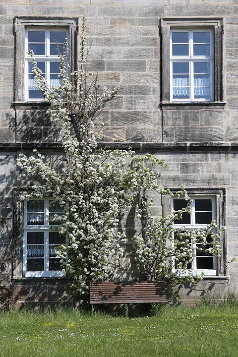 Klosterlangheim; Lankreis Lichtenfels; Foto: Barbara Herbst