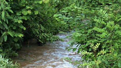 Viele Seitenb&auml;che und Gr&auml;ben laufen in die Rauhe Ebrach, was bei Starkregen immer wieder Probleme bereitet. Jetzt entsteht ein Hochwasserschutzkonzept, auf dessen Basis dann R&uuml;ckhaltungen geschaffen werden sollen. Rauhenebrach wird damit sicherer.  Foto: Sabine Weinbeer
