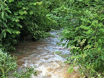 Viele Seitenbäche und Gräben laufen in die Rauhe Ebrach, was bei Starkregen immer wieder Probleme bereitet. Jetzt entsteht ein Hochwasserschutzkonzept, auf dessen Basis dann Rückhaltungen geschaffen werden sollen. Rauhenebrach wird damit sicherer.  Foto: Sabine Weinbeer