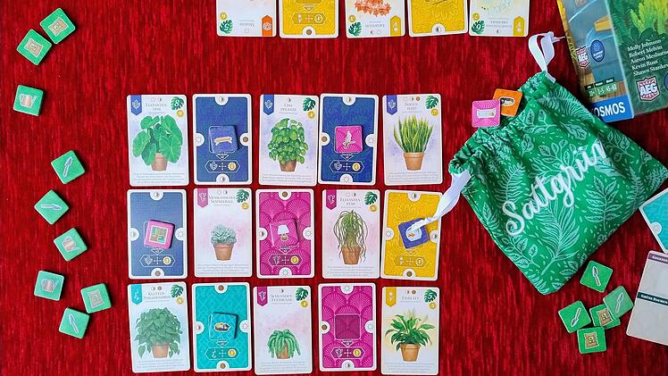 Sattgrün im Test - Familien-Legespiel zum Thema Zimmerpflanzen