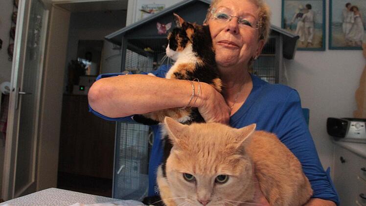 Isabella Gröger mit "Rambo" Cherry (vorne) und Kaiserin Sissi  Foto: infranken.de
