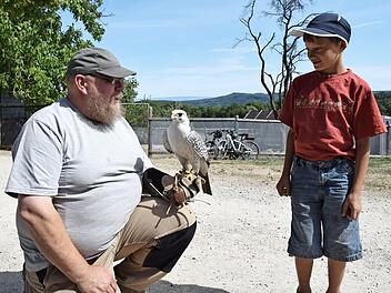 Falkner Berthold Popp hatte einen Gerfalken dabei.  Foto: Dieter Radziej