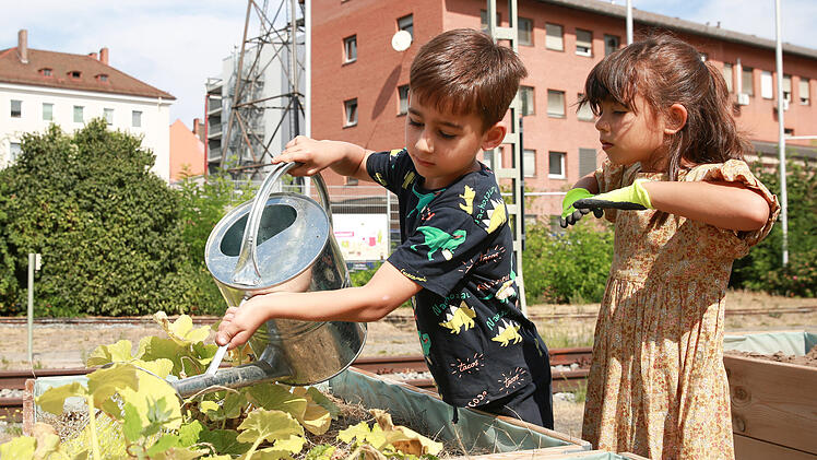 Die Beete des „Bahnwärter-Gärtleins“ werden in Kooperation mit der integrativen Kindertageseinrichtung Matthias-Claudius und dem Berliner Acker e. V. bewirtschaftet.