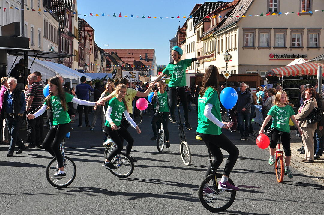 Die Einradfahrer der Freien Waldorfschule und des Schulzentrums Haßfurt, die „Crazy Chicks & Unicycle Dancers“, führten einen der beiden Festzüge beim Haßfurter Straßenfest an.