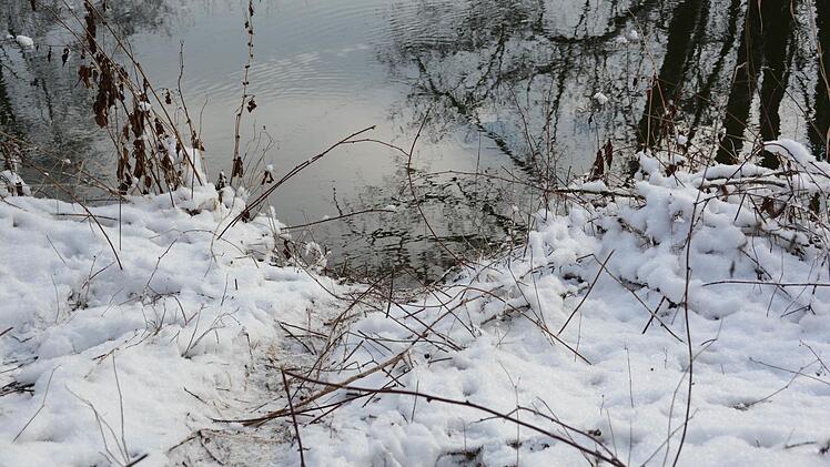 Auf Biber-Spurensuche am Weißen Main bei Burghaig. Foto: Dagmar Besand