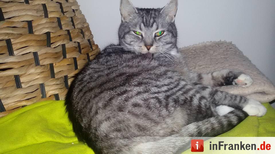 Foto: Nadine Pfister