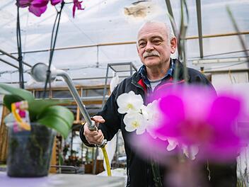 Wer beim Volksbegehren für die Rettung der Bienen stimmt, sollte auch in seinem eigenen Garten einen Beitrag dazu leisten, findet der Kronacher Florist Karl Dorsch. Foto: Marian Hamacher