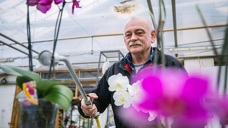 Wer beim Volksbegehren für die Rettung der Bienen stimmt, sollte auch in seinem eigenen Garten einen Beitrag dazu leisten, findet der Kronacher Florist Karl Dorsch. Foto: Marian Hamacher