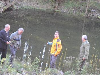 Wie hier im Bärenbachgrund wurden mehrere Feuchtbiotope zur Verbesserung der Artenvielfalt und Förderung seltener Tier- und Pflanzenarten angelegt (v. l.): Forstdirektor Michael Schneider, Stefan Hanna-Bökkerink (AELF), Christian Goldammer und Forstbetriebsleiter Peter Hagemann, Bayerische Staatsforsten. Foto: eh