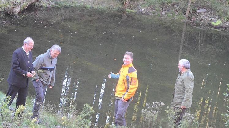 Wie hier im Bärenbachgrund wurden mehrere Feuchtbiotope zur Verbesserung der Artenvielfalt und Förderung seltener Tier- und Pflanzenarten angelegt (v. l.): Forstdirektor Michael Schneider, Stefan Hanna-Bökkerink (AELF), Christian Goldammer und Forstbetriebsleiter Peter Hagemann, Bayerische Staatsforsten. Foto: eh