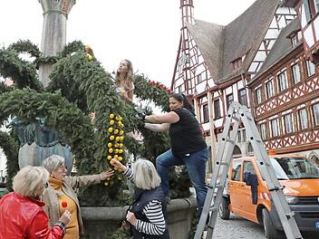 Während von unten die Gästeführerinnen Marlene Hahn, Ingeborg Oelschner und Ulli Baier (v.l.) Regieanweisungen geben, stecken die Gartenamtsmitarbeiterinnen Anke Schönbrodt (r.) und Eva Giesel (oben) von der Leiter aus die rot-gelben Eier an den Osterbrunnen.  Foto: Barbara Herbst