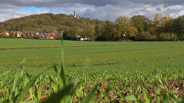 Hat der Vorstoß der  SPD-Fraktion Erfolg, könnte es zu einem Verbot des Unkrautvernichtungsmittels Glyphosat auf allen Flächen im Besitz der Stadt Bamberg  kommen.  Ronald Rinklef