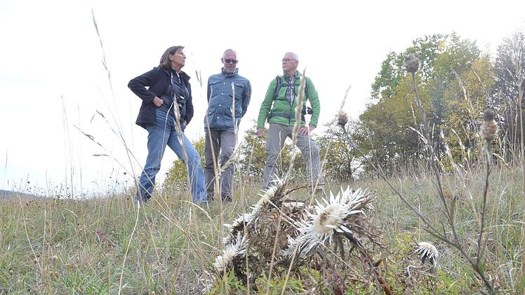 Petra Altrichter, Frank Reißenweber und Freimut Brückner auf der "Silberdistelwiese" am Fechheimer Berg. Fotos: Rainer Lutz