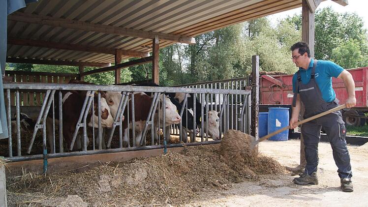 Landwirt Ulrich Galster aus Leutenbach bei der Arbeit im Kuhstall. Fotos: Lucie Homann
