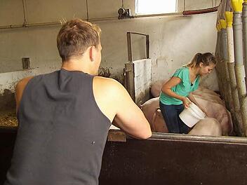 Gunther und Jenny versorgen die Schweine. Foto: RTL "Alle Infos zu "Bauer sucht Frau" im Special bei RTL.de: www.rtl.de/cms/sendungen/bauer-sucht-frau.html © RTL
