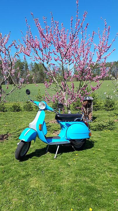 Die schönsten Frühlingsfotos aus Haßfurt und Umgebung