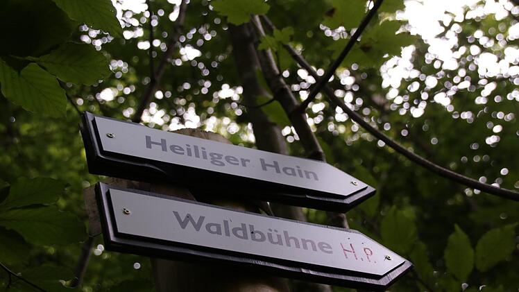 Der Wald für die Seele ist ein Projekt für die seelische Gesundheit - ein Ort des Rückzugs. Er wurde 2019 von der UN-Dekade Biologische Vielfalt ausgezeichnet. Foto: Benedikt Bors