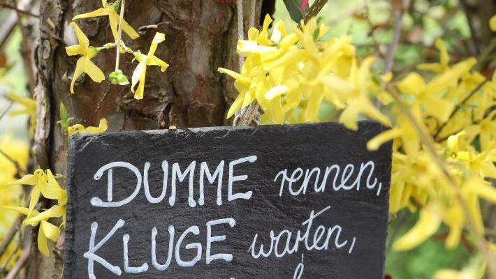 Foto: Barbara Herbst