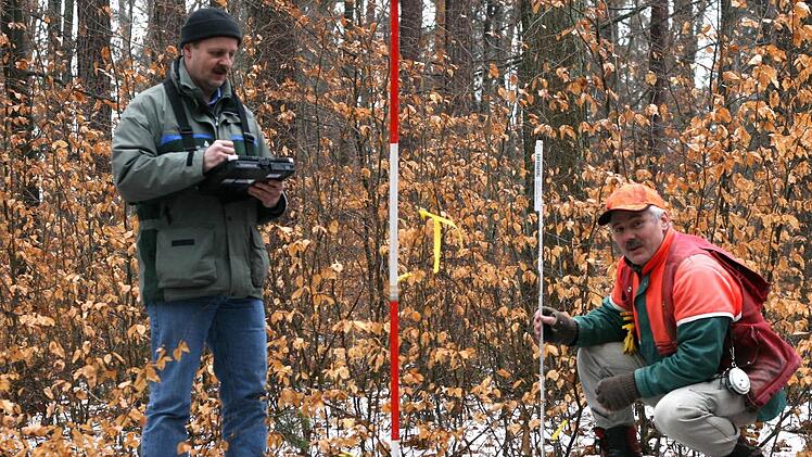 Oliver Kr&ouml;ner (links) und Wolfgang Wei&szlig; untersuchen junge Waldb&auml;ume und Knospen auf Verbiss- und Fegespuren von Rehen als Grundlage f&uuml;r ein Gutachten zur Wald-Wild-Situation.  Foto: CT-Archiv