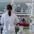 Ein neuer Bluttest kann bis zu 20 Krebsarten im Blut von Patienten erkennen. Symbolfoto: Michal Jarmoluk/pixabay