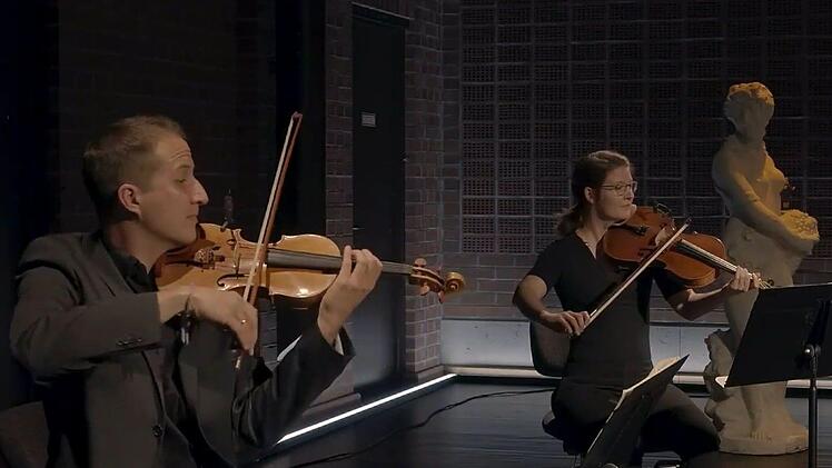 Musiker des Philharmonischen Orchesters gestalten die neue Folge von "Klassik am Sonntag".Screenshot: Landestheater Coburg