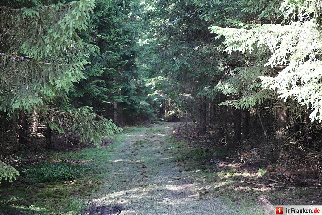 Fundort von Peggys Leiche